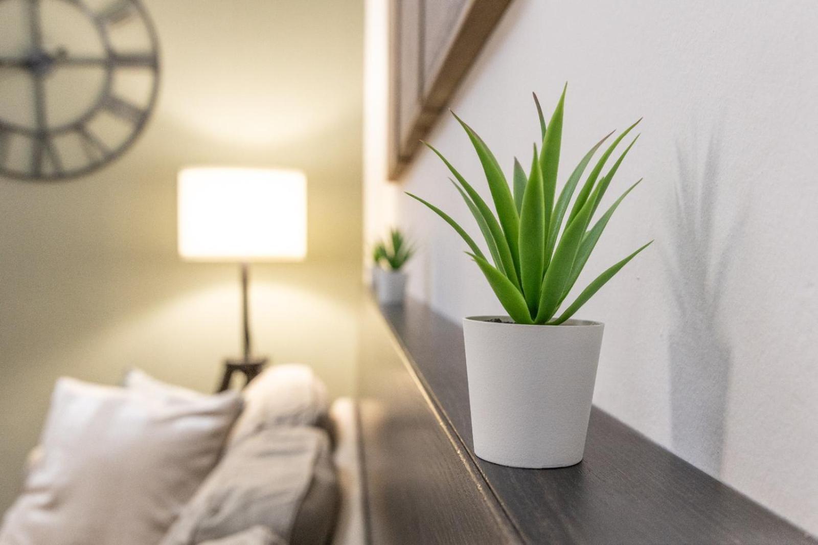 Mariposa Apartment Ливорно Экстерьер фото
